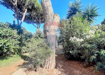 Trilocale Via Oberdan, Santa Marinella - foto 12