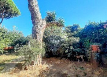 Trilocale Via Oberdan, Santa Marinella - foto 13