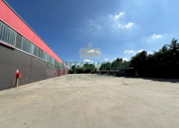 Capannone Castel San Pietro Terme - foto 6