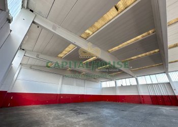 Capannone Castel San Pietro Terme - foto 12