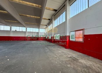 Capannone Castel San Pietro Terme - foto 13