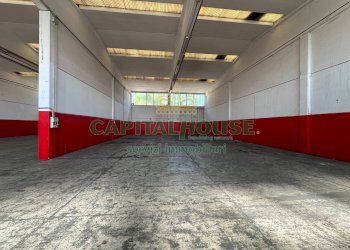 Capannone Castel San Pietro Terme - foto 17