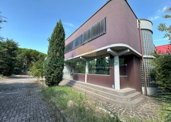 Capannone Castel San Pietro Terme - foto 19