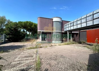 Capannone Castel San Pietro Terme - foto 20