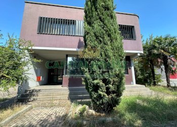 Capannone Castel San Pietro Terme - foto 23