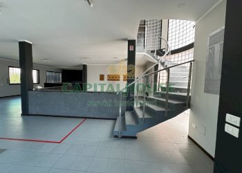 Capannone Castel San Pietro Terme - foto 29