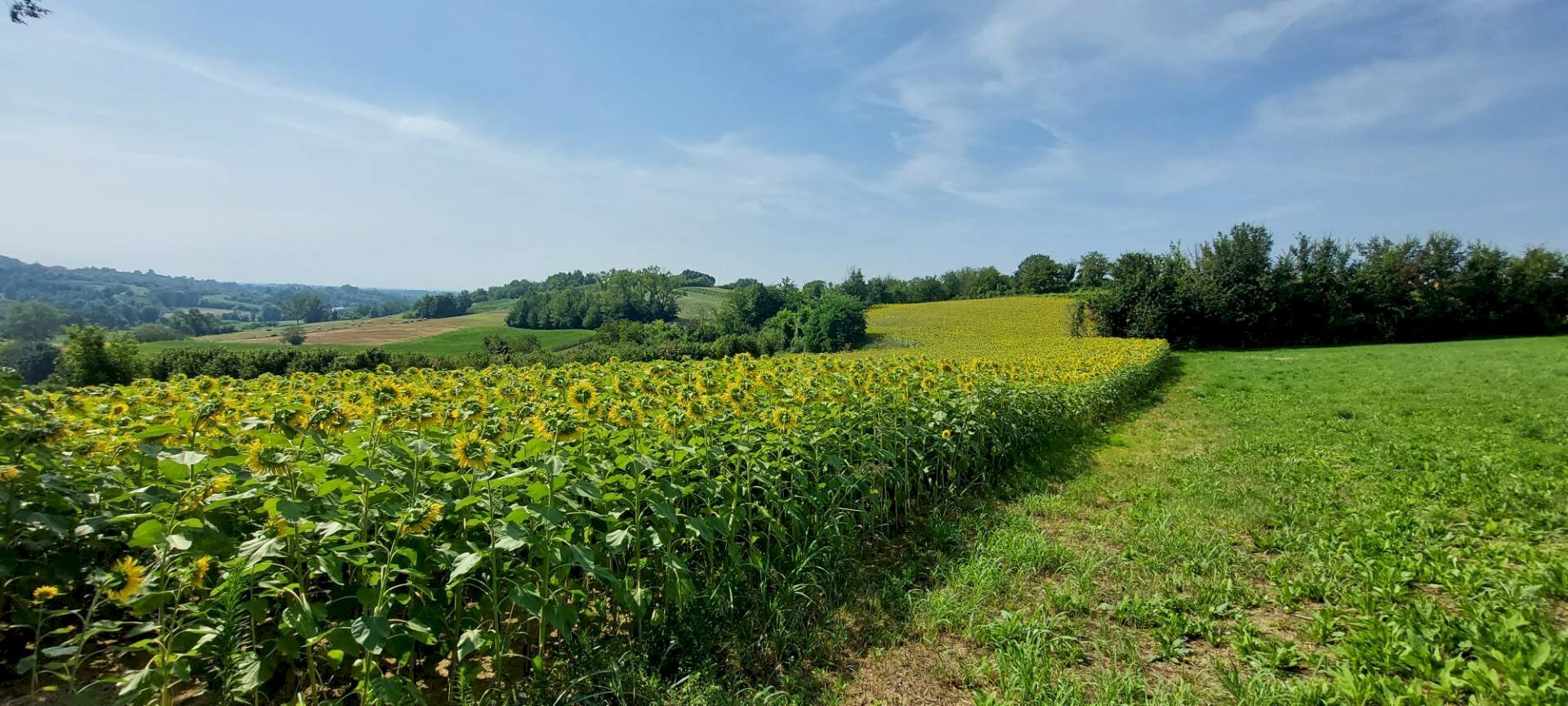 Terreno agricolo Via Roma, Andezeno - foto 1