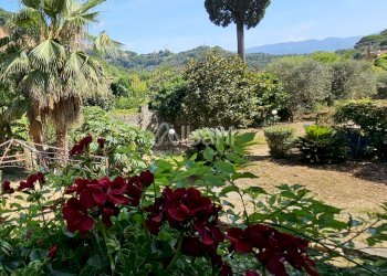 IN377_Proprieta_immobiliare_vendita_vicinanze Leri - Casa indipendente Via B. Gazzoli, Lerici - foto 4