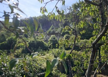 IN377_Proprieta_immobiliare_vendita_vicinanze Leri - Casa indipendente Via B. Gazzoli, Lerici - foto 25