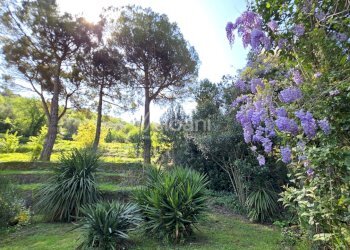 IN377_Proprieta_immobiliare_vendita_vicinanze Leri - Casa indipendente Via B. Gazzoli, Lerici - foto 4