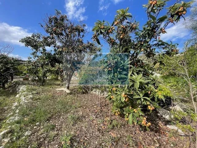 Terreno agricolo Via Salvo D'Acquisto, Siracusa - foto 1