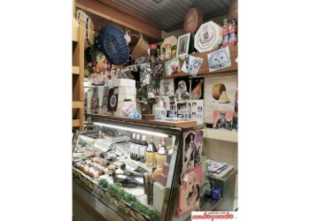 Negozio Bologna (zona Centro Storico) - foto 7