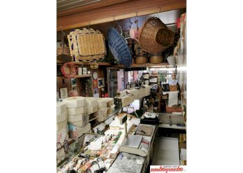 Negozio Bologna (zona Centro Storico) - foto 8