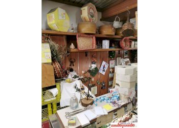 Negozio Bologna (zona Centro Storico) - foto 9