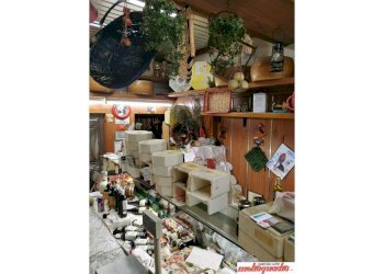 Negozio Bologna (zona Centro Storico) - foto 12