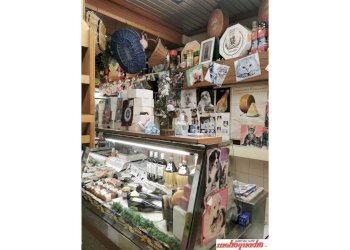 Negozio Bologna (zona Centro Storico) - foto 7