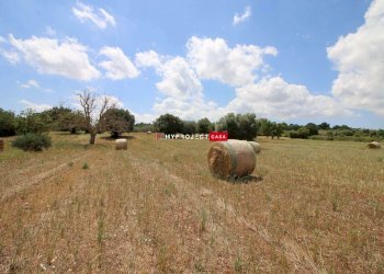 Trullo C.da Settarte, Ostuni - foto 11