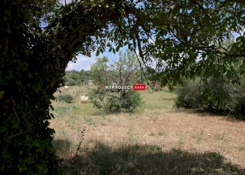 Trullo C.da Settarte, Ostuni - foto 12
