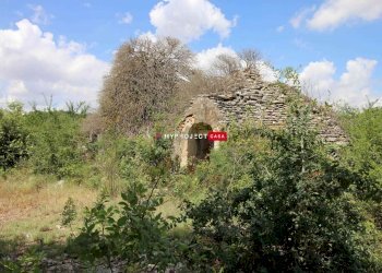 Trullo C.da Settarte, Ostuni - foto 14