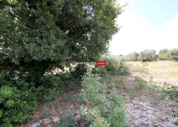 Trullo C.da Settarte, Ostuni - foto 15