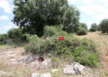 Trullo C.da Settarte, Ostuni - foto 16