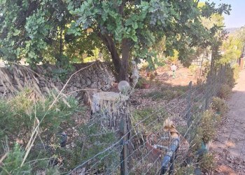 Casa indipendente CONTRADA SAN BIAGIO, Scicli - foto 7