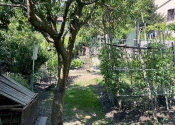 ORTO - Quadrilocale via Limbo, 1, Villar Focchiardo - foto 14