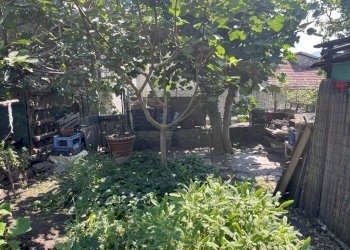 ORTO - Quadrilocale via Limbo, 1, Villar Focchiardo - foto 15