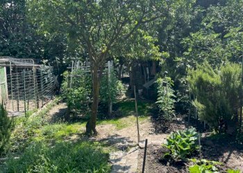 ORTO - Quadrilocale via Limbo, 1, Villar Focchiardo - foto 16