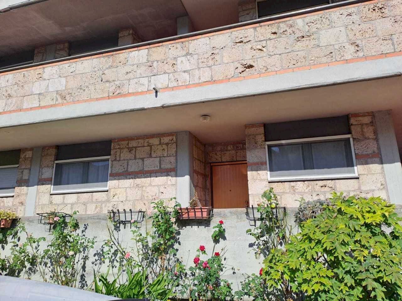 WhatsApp Image 2024-07-31 at 09.29.16.jpeg - Appartamento voc. sant'egidio, Montecastrilli - foto 3