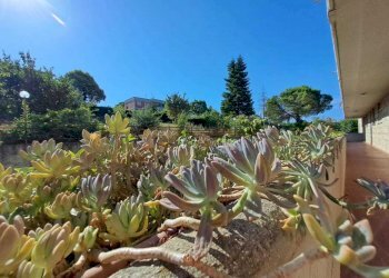 WhatsApp Image 2024-07-31 at 09.29.18 (1).jpeg - Apartment voc. sant'egidio, Montecastrilli - photo 8