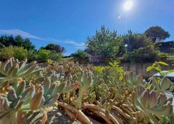 WhatsApp Image 2024-07-31 at 09.29.18 (2).jpeg - Apartment voc. sant'egidio, Montecastrilli - photo 9