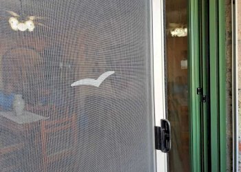 WhatsApp Image 2024-07-31 at 09.29.19 (1).jpeg - Apartment voc. sant'egidio, Montecastrilli - photo 13