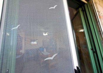 WhatsApp Image 2024-07-31 at 09.29.19.jpeg - Apartment voc. sant'egidio, Montecastrilli - photo 16