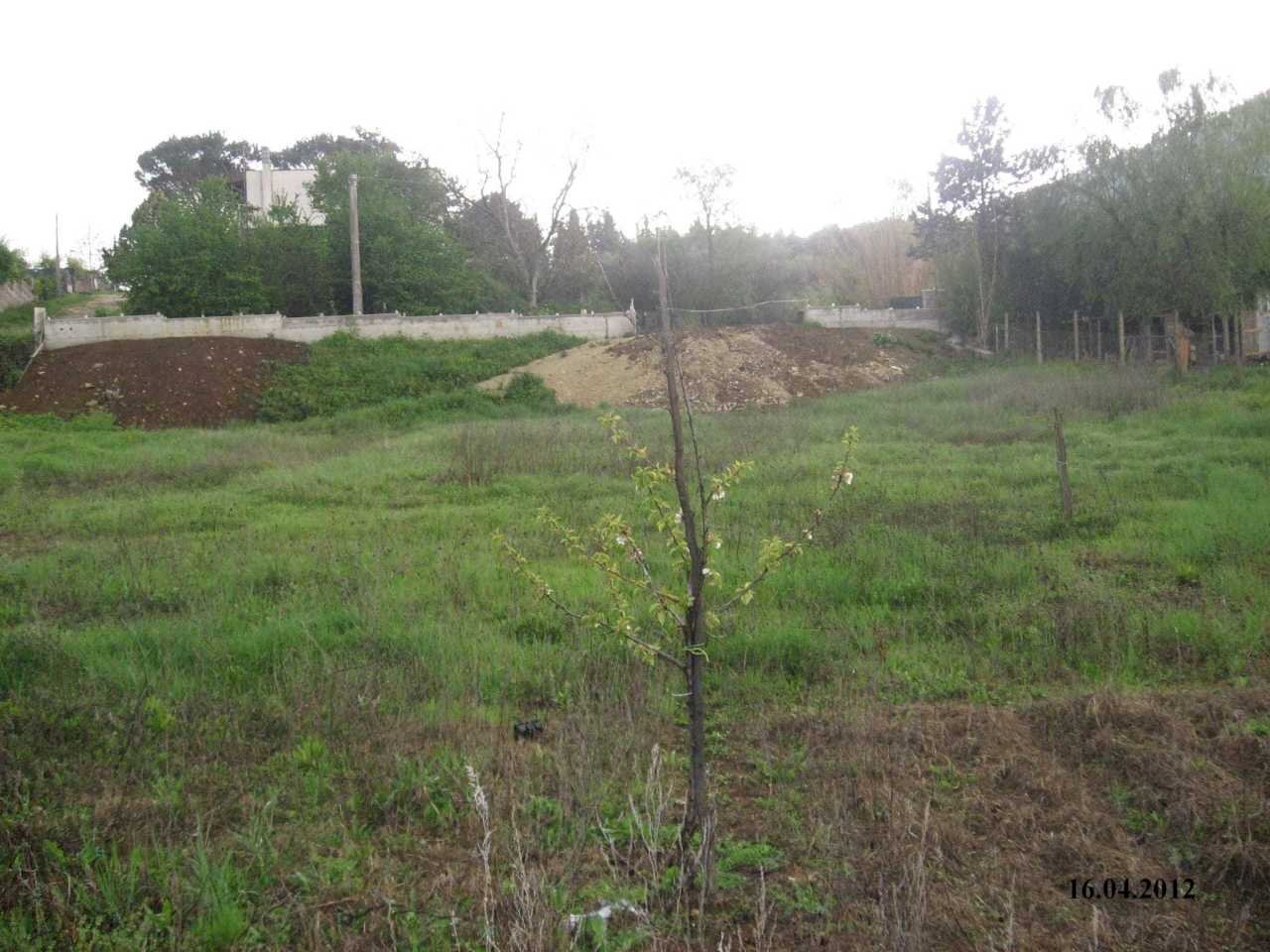 WhatsApp Image 2024-07-22 at 10.54.43 (1).jpeg - Terreno agricolo VIA DEI PIOPPI, Tivoli - foto 2