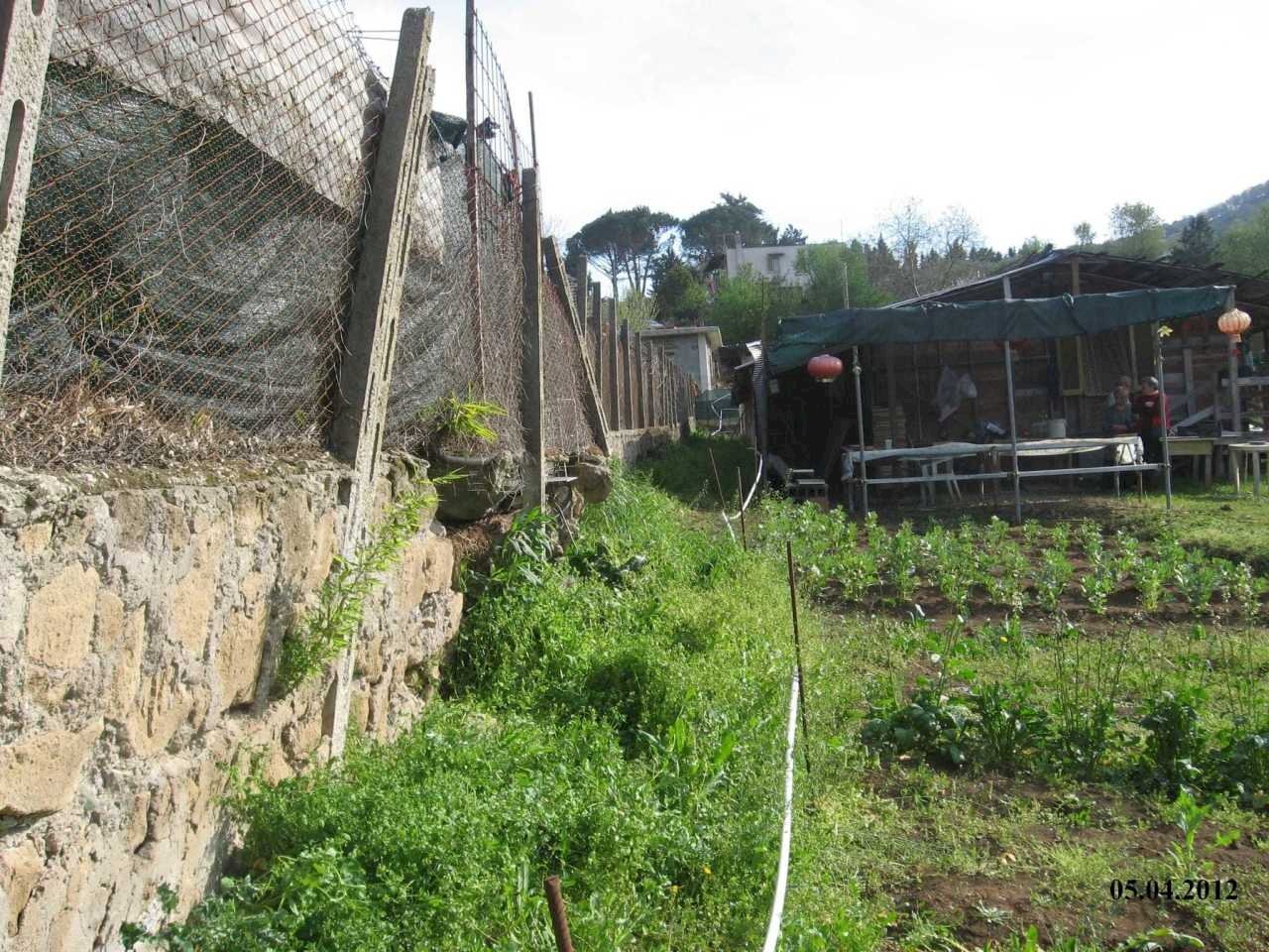 WhatsApp Image 2024-07-22 at 10.54.43.jpeg - Terreno agricolo VIA DEI PIOPPI, Tivoli - foto 3