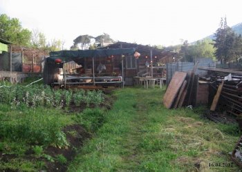 WhatsApp Image 2024-07-22 at 10.54.44 (1).jpeg - Terreno agricolo VIA DEI PIOPPI, Tivoli - foto 1