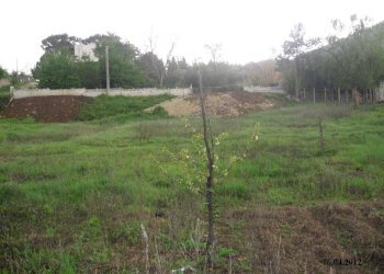 WhatsApp Image 2024-07-22 at 10.54.43 (1).jpeg - Terreno agricolo VIA DEI PIOPPI, Tivoli - foto 2