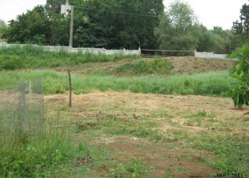 WhatsApp Image 2024-07-22 at 10.54.44 (2).jpeg - Terreno agricolo VIA DEI PIOPPI, Tivoli - foto 4