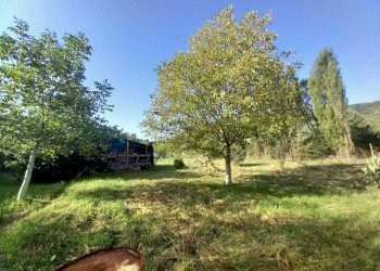 WhatsApp Image 2024-09-07 at 09.33.03.jpeg - Terreno agricolo VIA DEI PIOPPI, Tivoli - foto 7