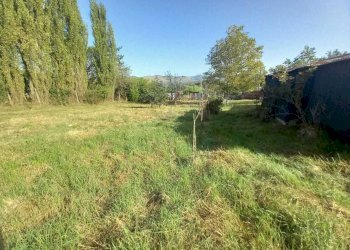 WhatsApp Image 2024-09-07 at 09.33.10 (1).jpeg - Terreno agricolo VIA DEI PIOPPI, Tivoli - foto 8