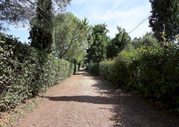 vendesi proprieta con parco e piscina cecina livor - Casale Via Gorizia 39, Cecina - foto 19