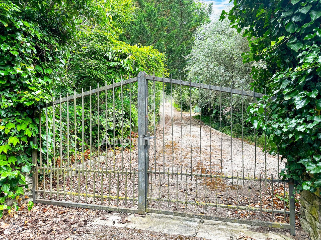 Country house Il Faggio 1.jpg - Villa Via della Torre, Paciano - photo 2