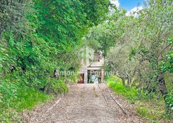 Country house Il Faggio 2.jpg - Villa Via della Torre, Paciano - foto 3