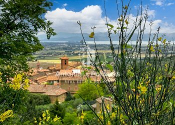Country house Il Faggio 5.jpg - Villa Via della Torre, Paciano - foto 8