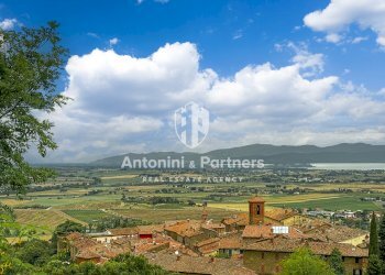 Country house Il Faggio 4.jpg - Villa Via della Torre, Paciano - foto 20