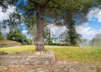 Country house Il Faggio 14.jpg - Villa Via della Torre, Paciano - foto 24