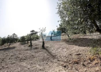 Villa CONTRADA METI, Noto - foto 18