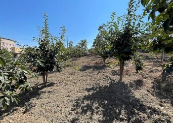Terreno edificabile str. Tramontana, Misilmeri - foto 16