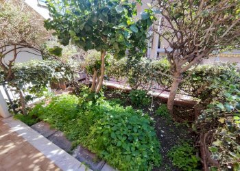 Terrazzo - Bilocale via Altarellazzo, Acireale - foto 10